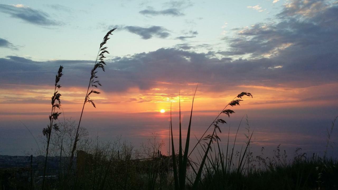 B&B Villa Eleonora Tropea Le Pioppe Luaran gambar